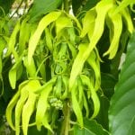 article image -